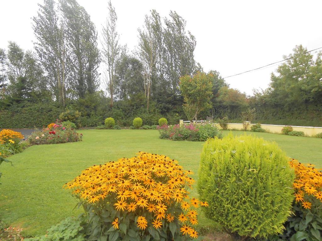 Gallows View Bed & Breakfast Bunratty Pokój zdjęcie